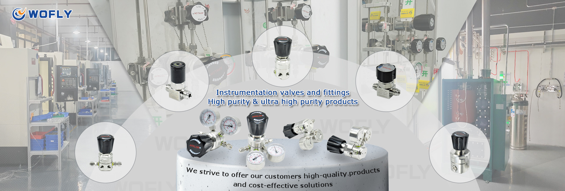 KWALITEIT Roestvrij staaldrukregelaar fabriek