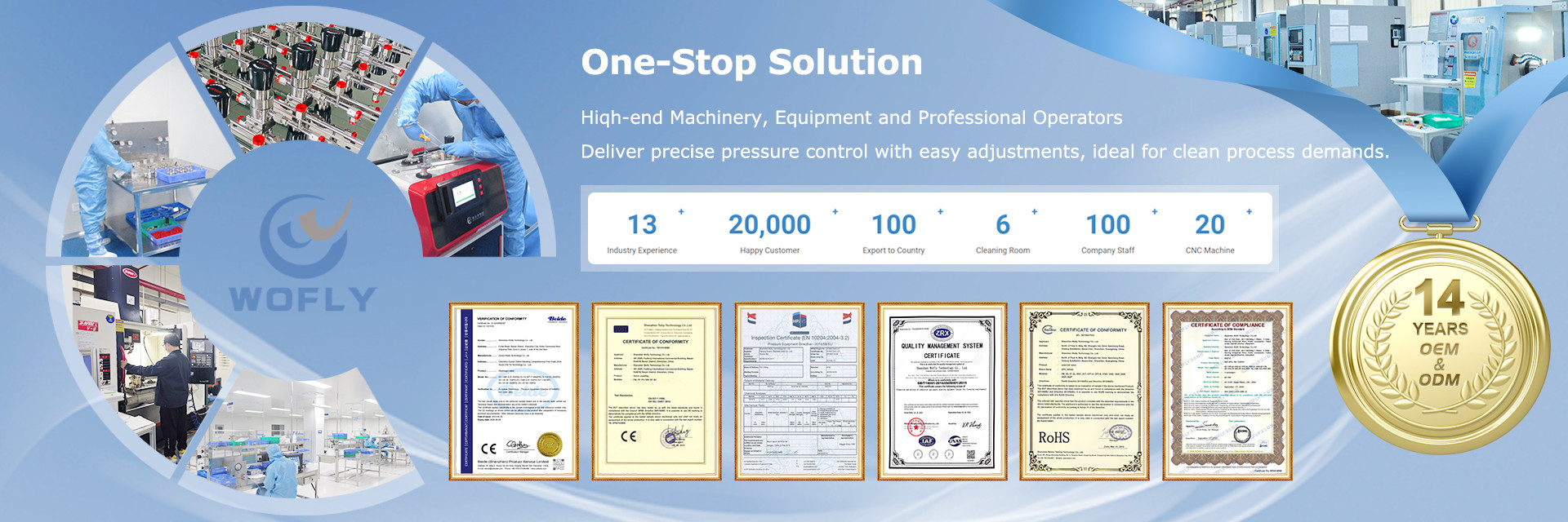 KWALITEIT Roestvrij staaldrukregelaar fabriek